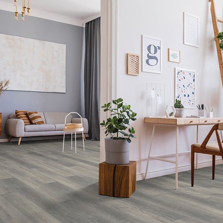 Beaulieu Canada builder,pro,residential,all Laminate Goodall 1725