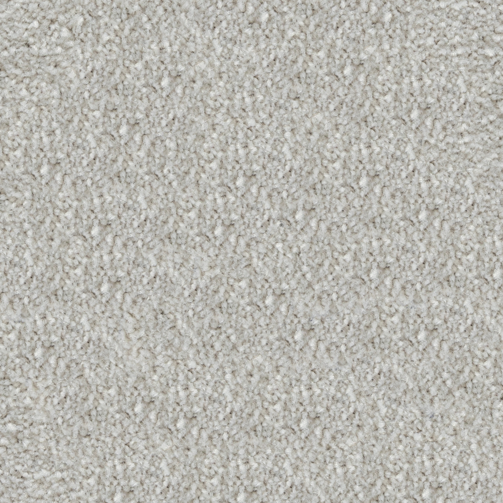 Beaulieu Canada Pro Carpet Spartacus a4531