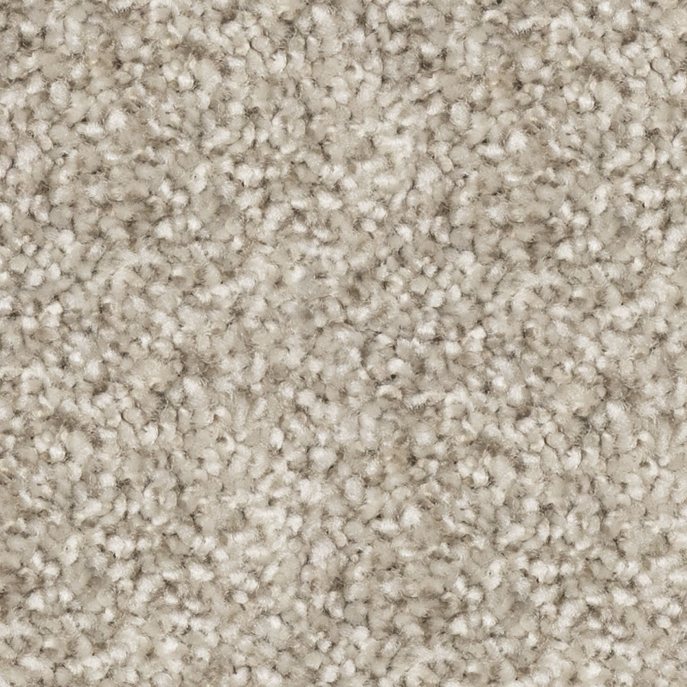 Beaulieu Canada residential,all Carpet Prodigy j4695