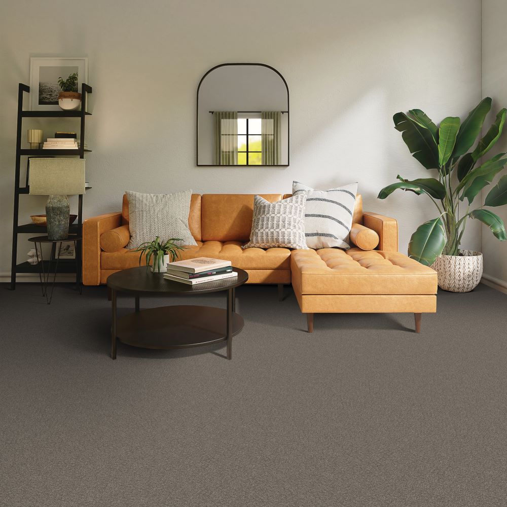 Beaulieu Canada Pro Carpet Serene Ambiance j4756