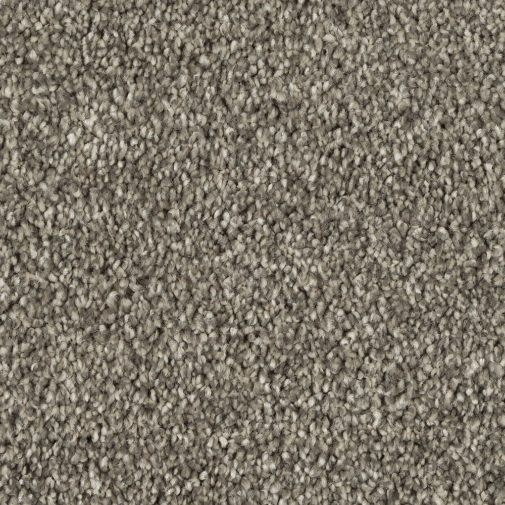 Beaulieu Canada Pro Carpet Silky Sparkle a4780