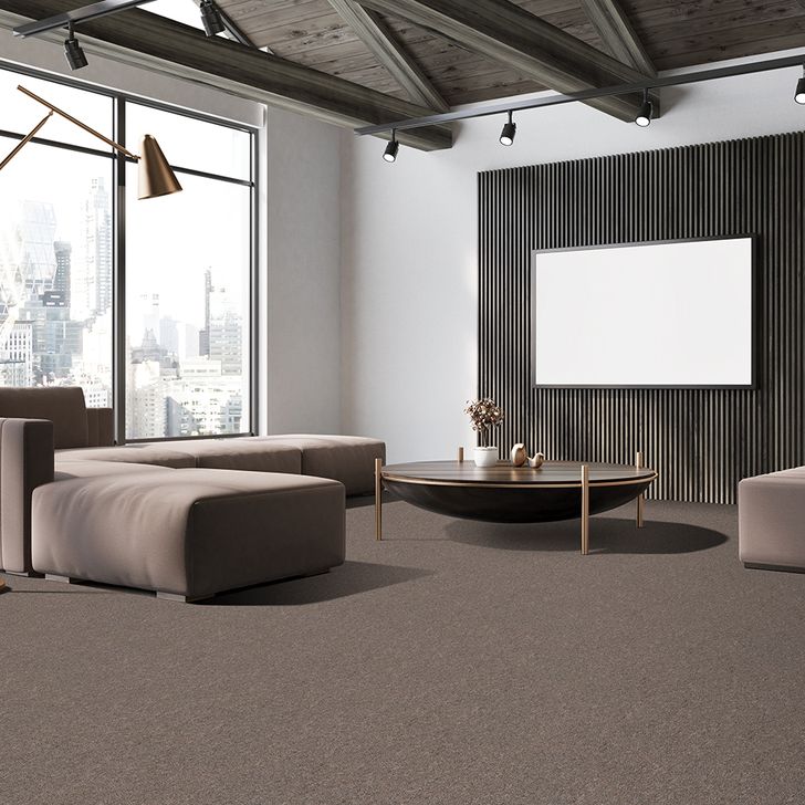 Beaulieu Canada Pro Carpet Invasion IV Base j7021