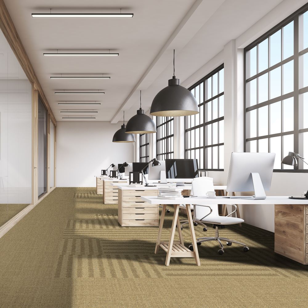 Beaulieu Canada Workspace Carpet Polder t11