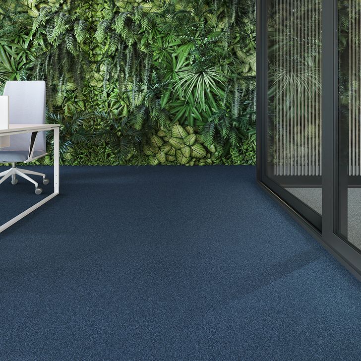 Beaulieu Canada Logements pour aînés Tapis First forward t24