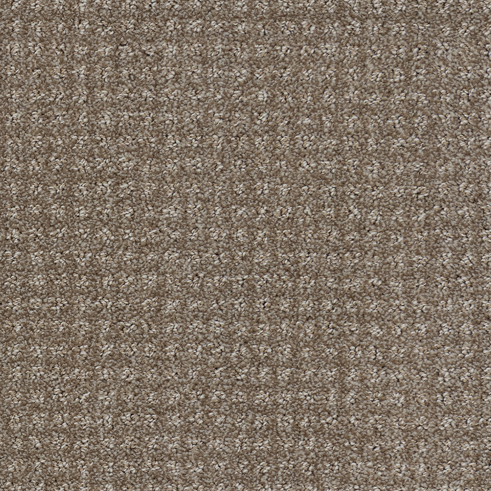 Beaulieu Canada residential,builder,pro,all Carpet Garibaldi Estate j1785