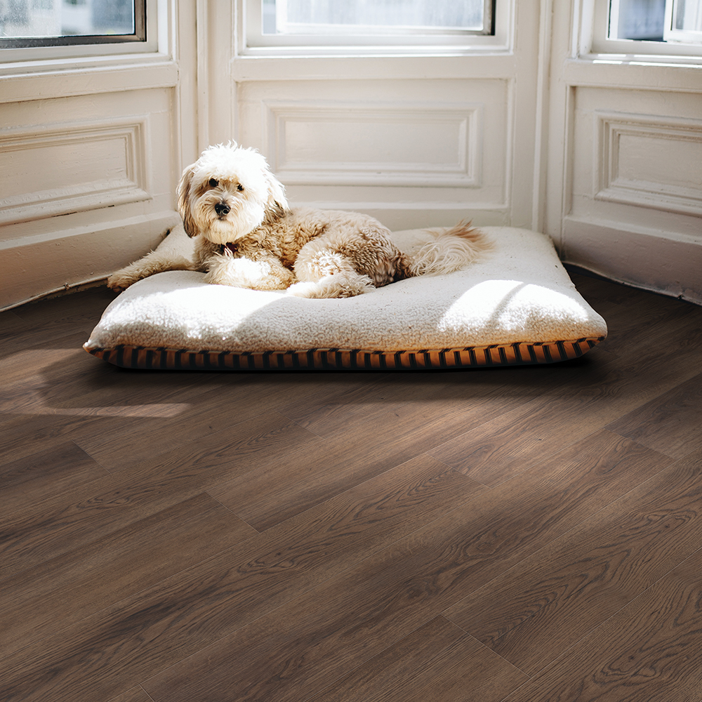 Beaulieu Canada Builder vinyl Bishop Bay 2266