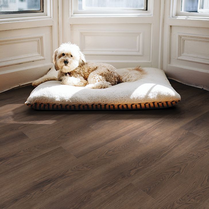 Beaulieu Canada Builder vinyl Bishop Bay 2266