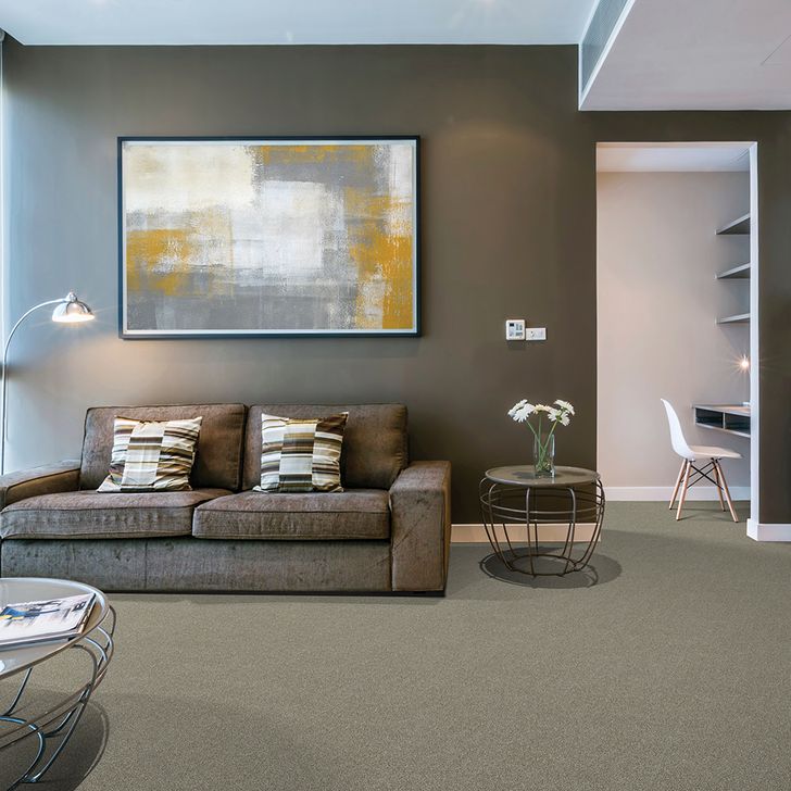 Beaulieu Canada Builder Carpet Silky Glimmer a4940