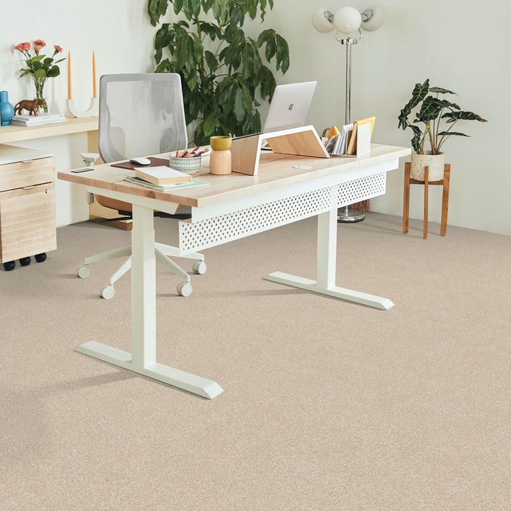 Beaulieu Canada Builder Carpet Warm Ambiance j4976