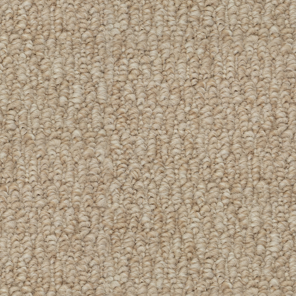 Beaulieu Canada residential,all Carpet Papilio III j6840