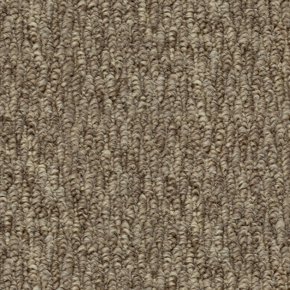 Beaulieu Canada residential,all Carpet Papilio III j6840