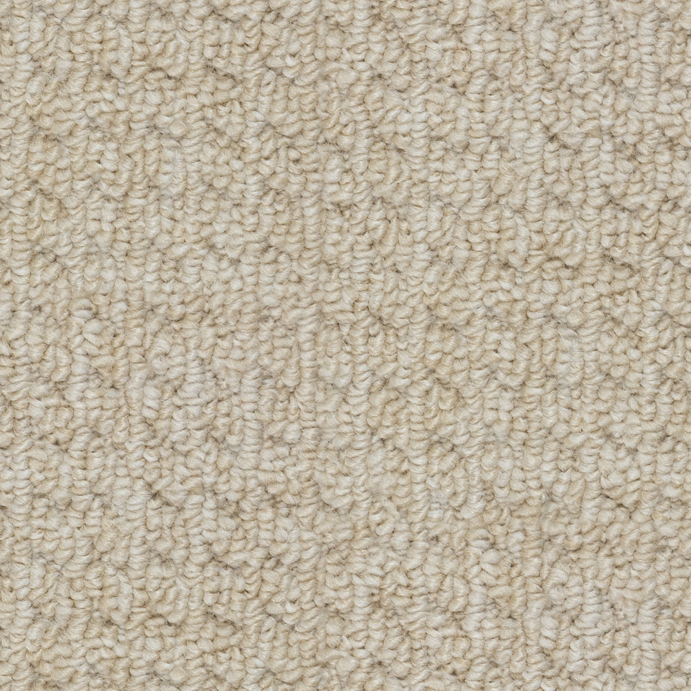 Beaulieu Canada residential,all Carpet Sultana III Sr j6861