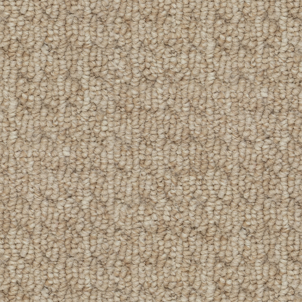 Beaulieu Canada residential,all Carpet Sultana III Sr j6861