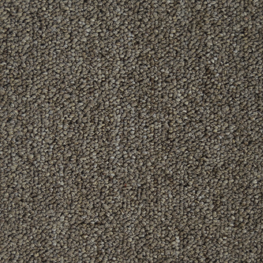 Beaulieu Canada pro,property-management,residential,all Carpet Invasion V 18 j7033