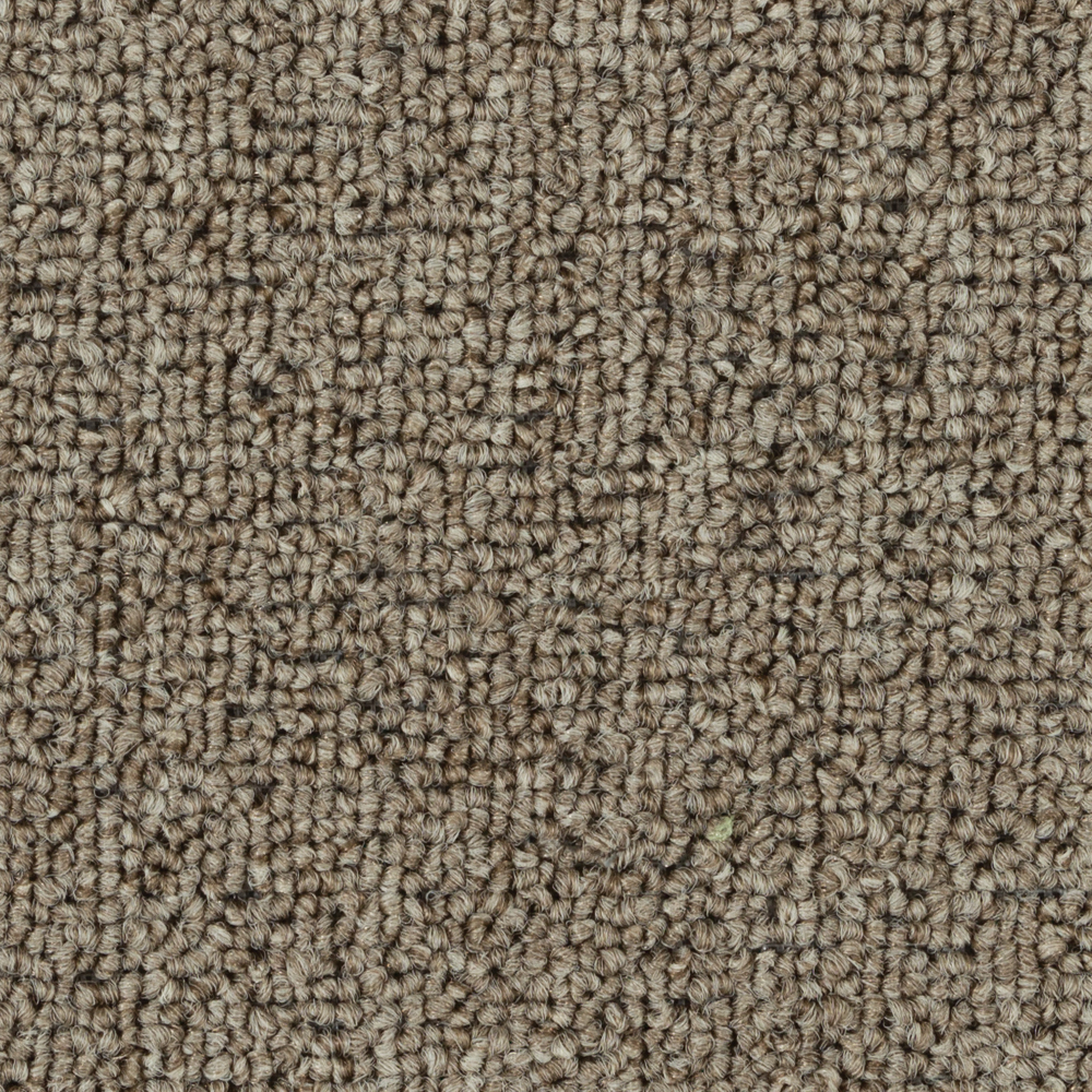 Beaulieu Canada pro,property-management,residential,all Carpet Invasion V 18 j7033
