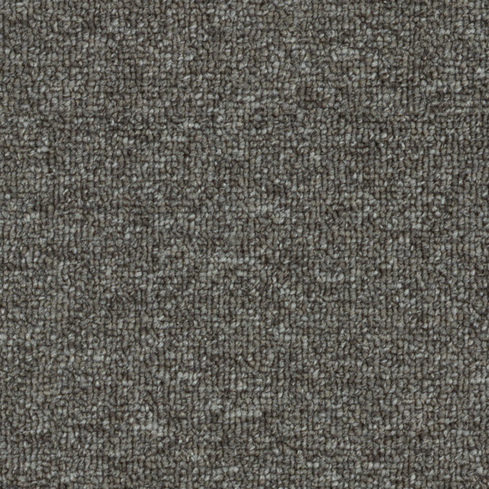 Beaulieu Canada builder,hospitality,pro,property-management,residential,senior-living,workspace,all Carpet Axion 20 j8331