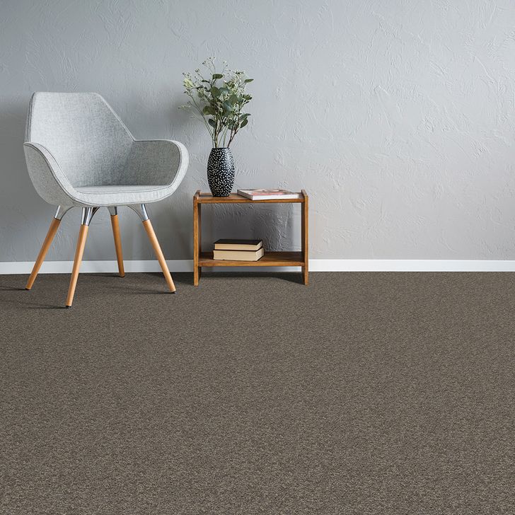 Beaulieu Canada Builder Carpet Axion 26 j8333