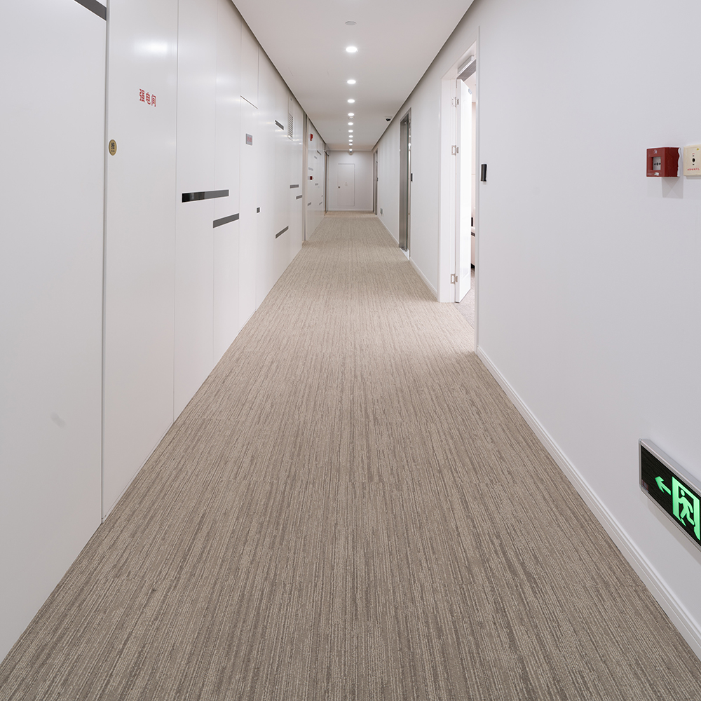 Beaulieu Canada Builder Carpet Aarup taar