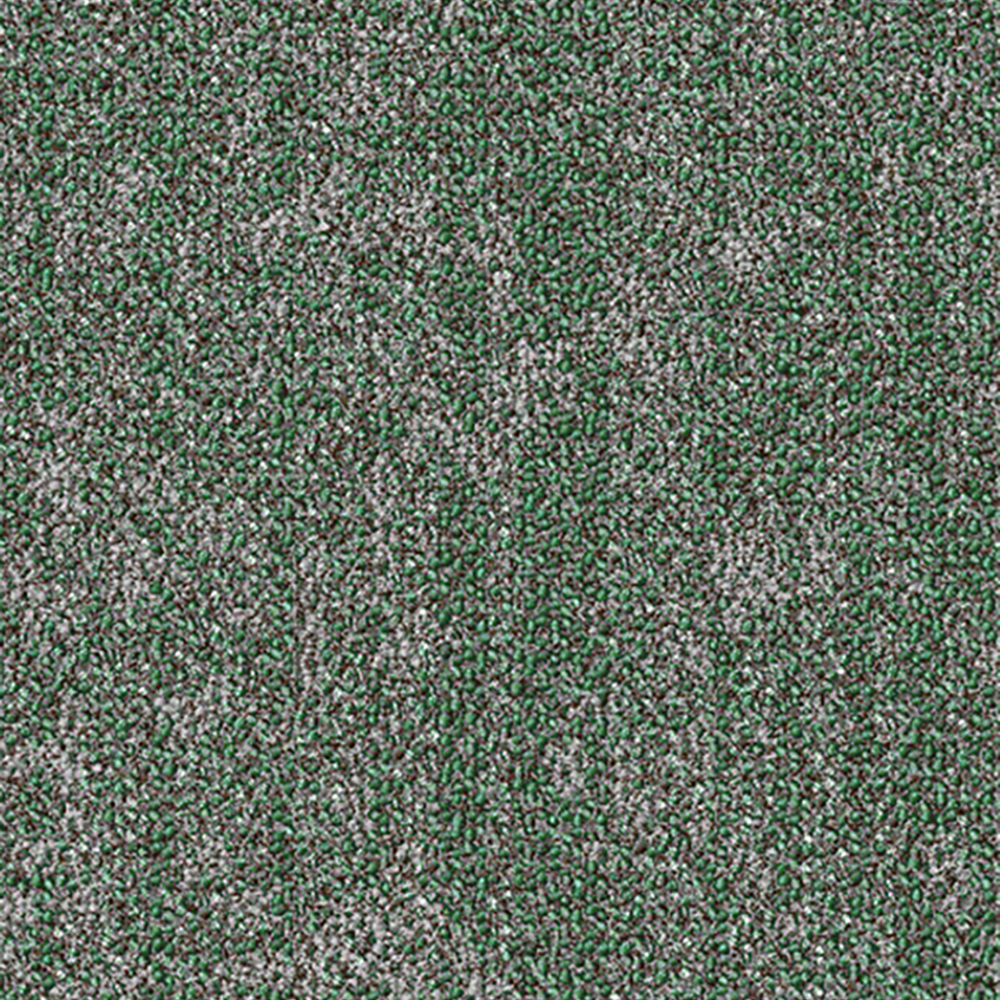 Beaulieu Canada Builder Carpet Color Sense tcol