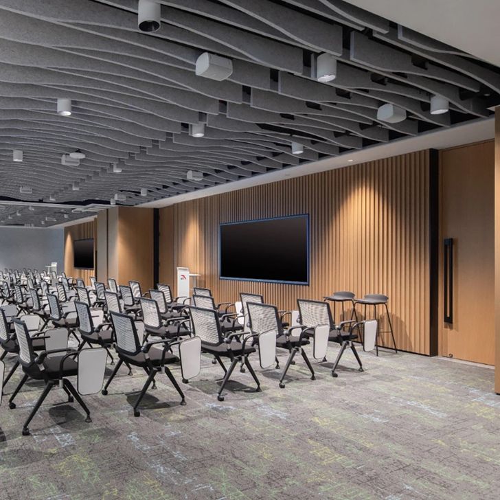 Beaulieu Canada Builder Carpet Color Sparkle tcos