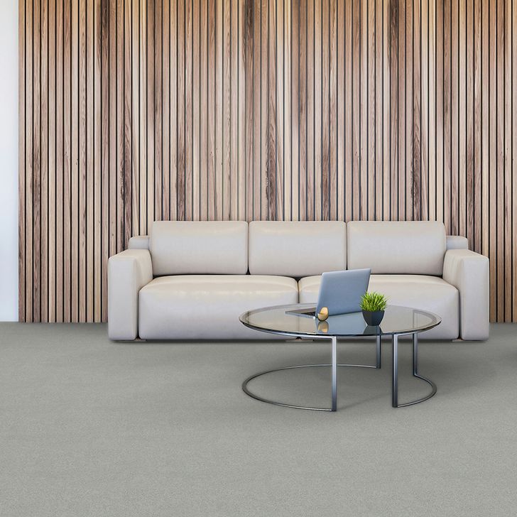 Beaulieu Canada Builder Carpet Mere Color tmec