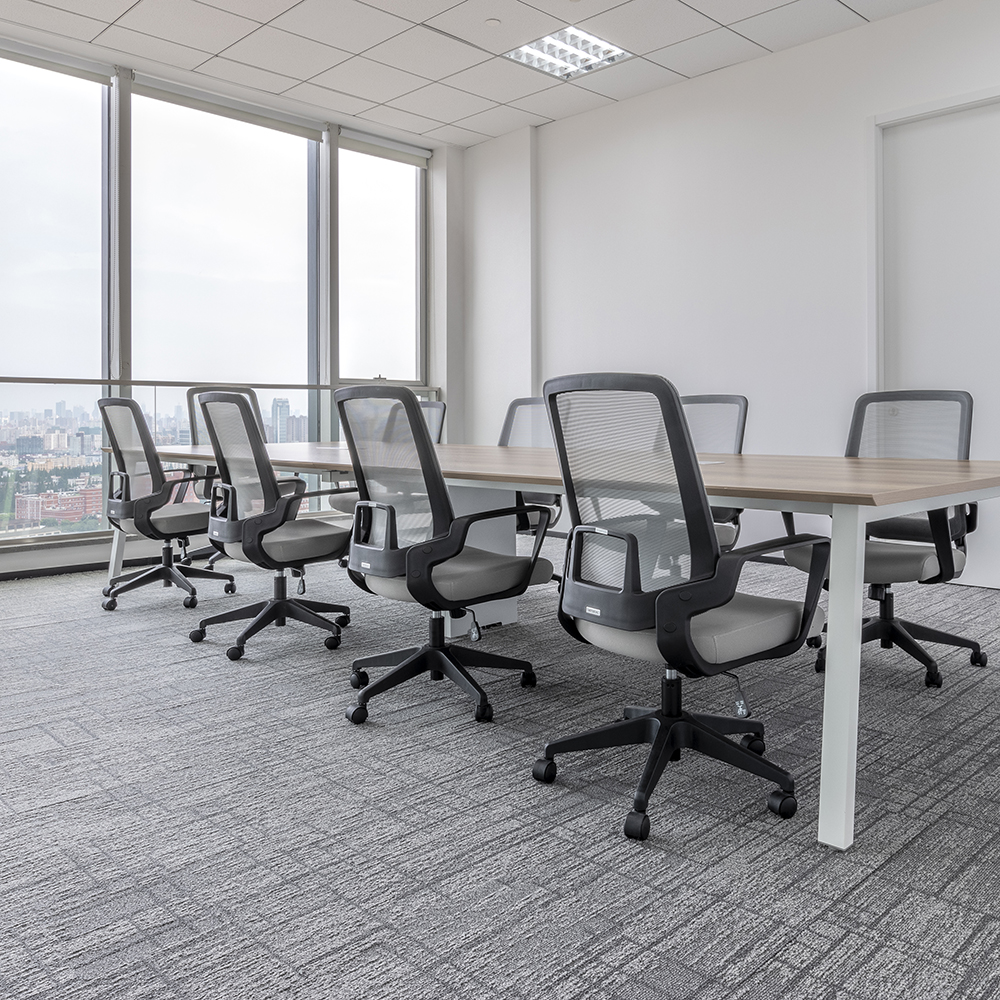 Beaulieu Canada Builder Carpet Mondrian 100 tmo1