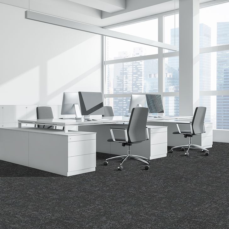 Beaulieu Canada Builder Carpet Nexio tnex