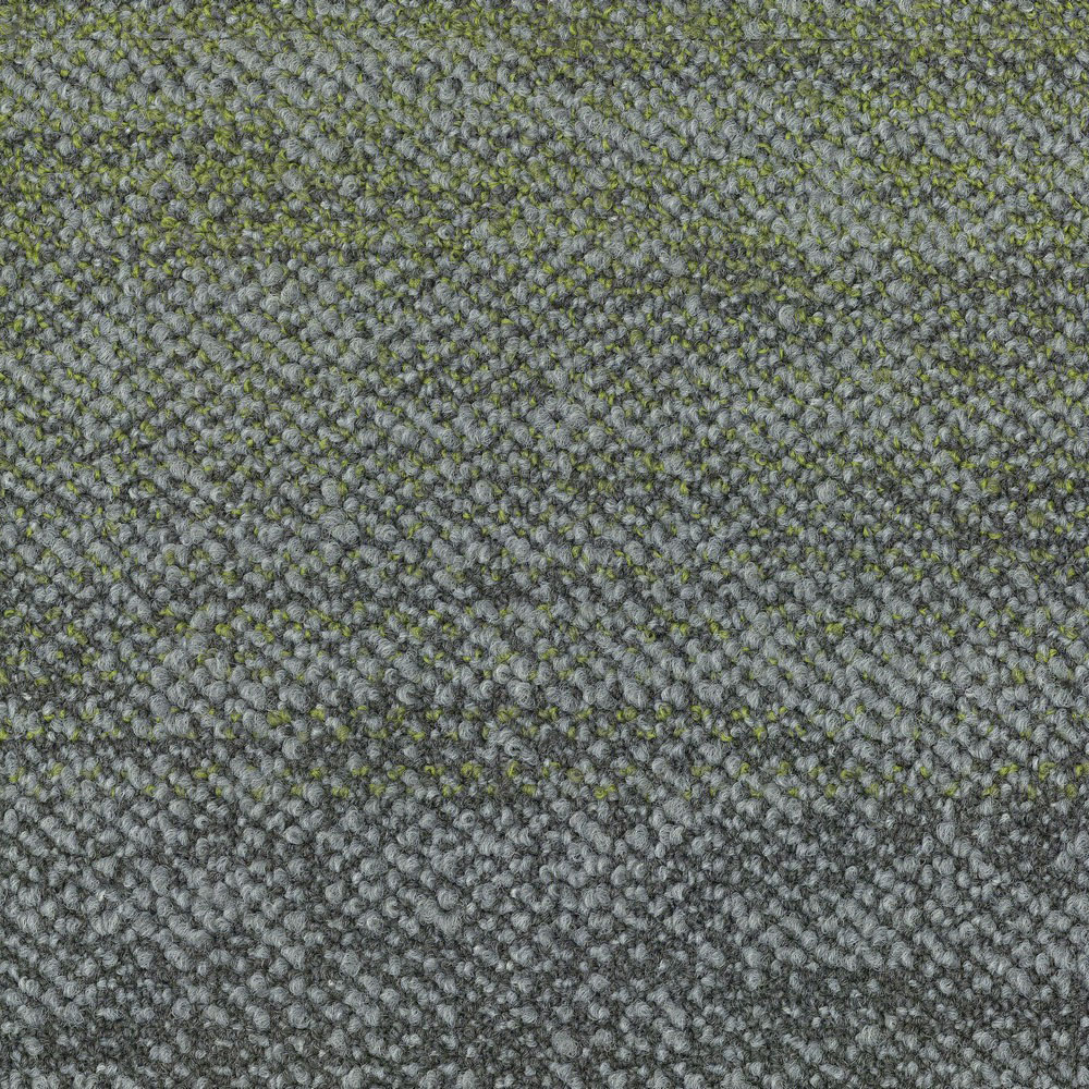 Beaulieu Canada Builder Carpet Slow Adaptation tsla