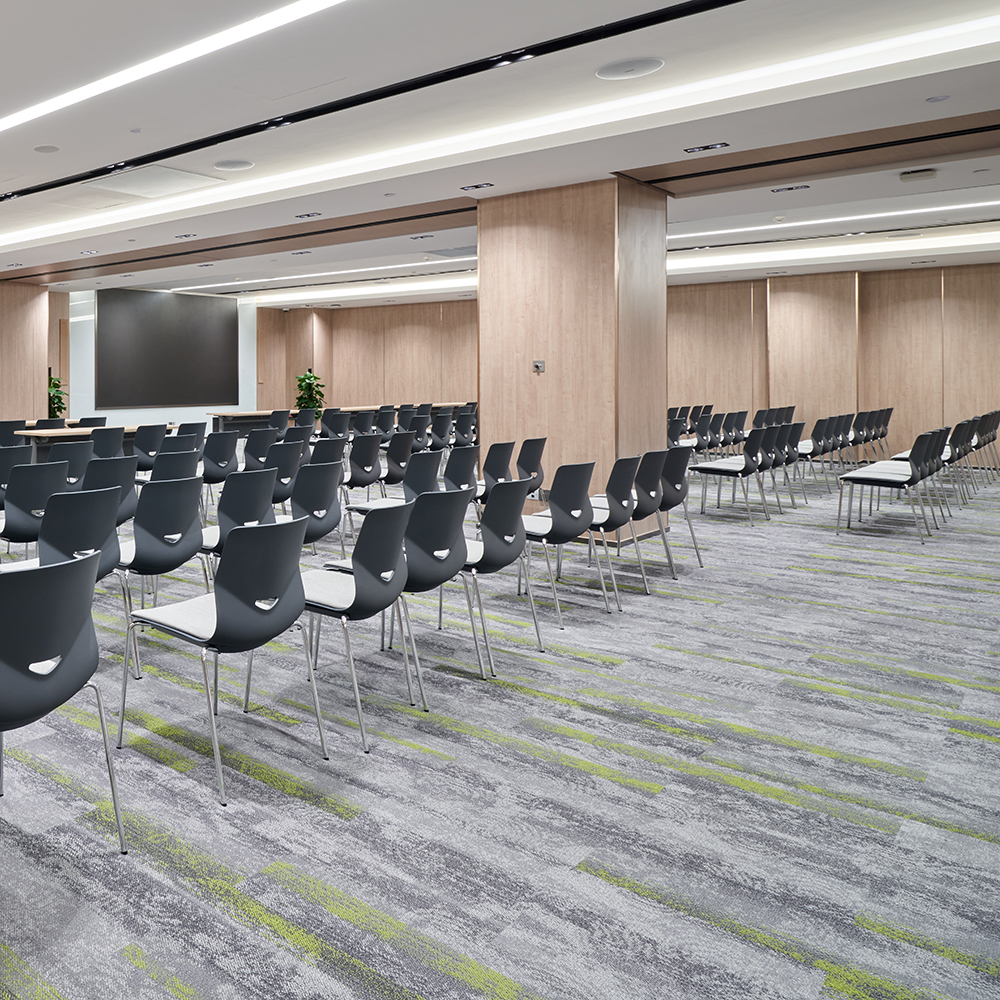 Beaulieu Canada Builder Carpet Spiral Plus tspp