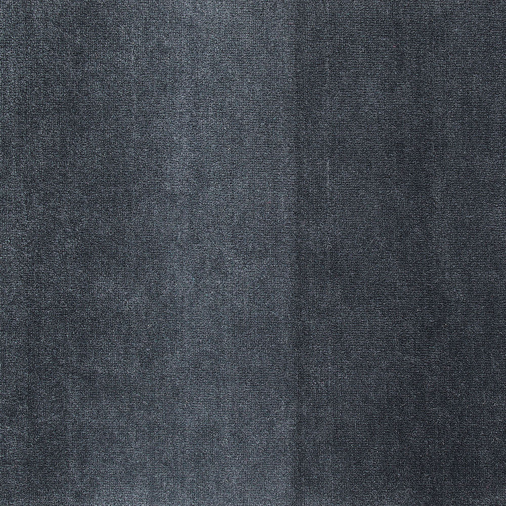 Beaulieu Canada Builder Carpet Twilight ttwi