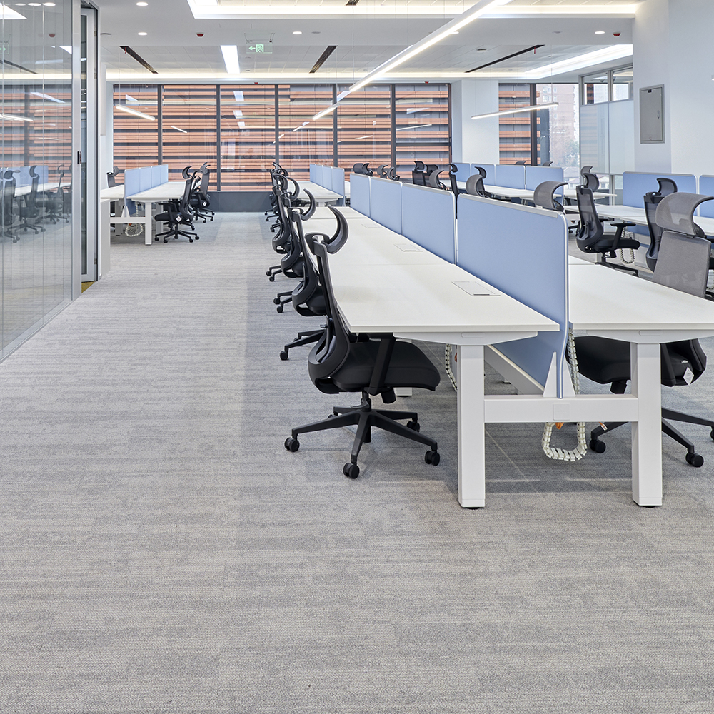 Beaulieu Canada Builder Carpet Zen Glow tzeg